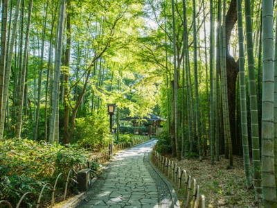  埼玉営業所